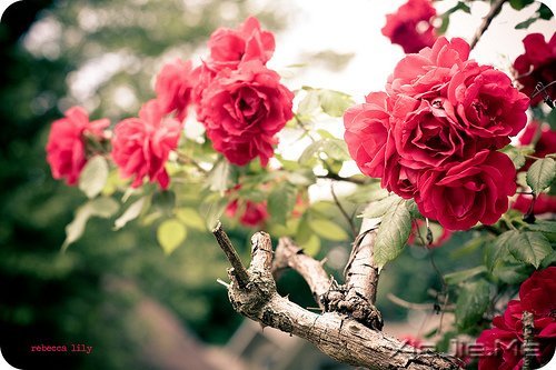 ΪʲôÇ×ÈËÀëÈ¥»áÈÃÎÒÃÇÄѹý£¿