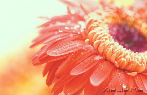 �����֣�û��˭�ǲ���ȡ����