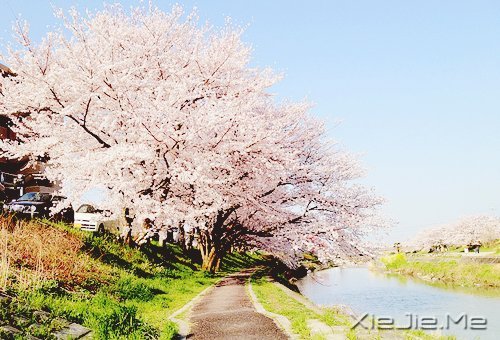 2014,用12个月来改变自己 (2)