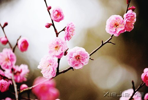 2014,用12个月来改变自己 (5)