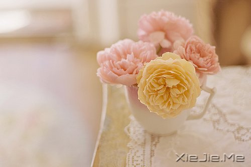 做好自己不留任何遗憾 (4)