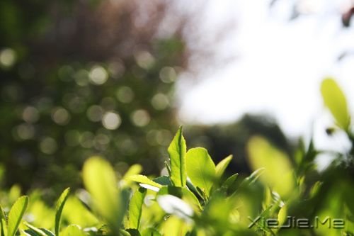 站在时光的路口 (4)