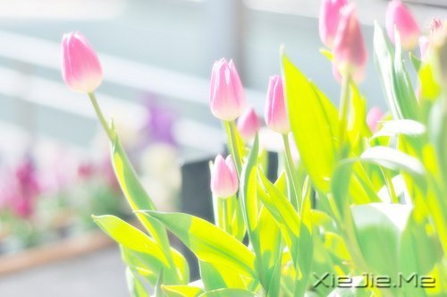 文字:你只管负责精彩,老天自有安排