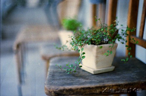 ���֣���������˼����