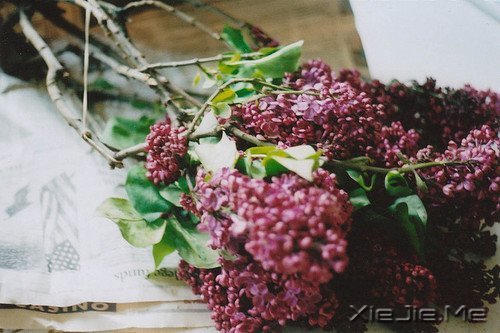 文字:八味人生良药 (3)