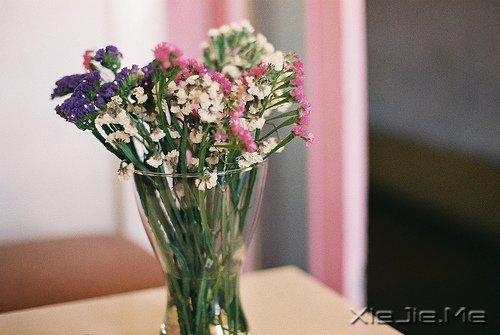 文字:八味人生良药 (7)