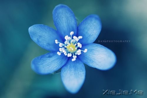 受益一生的15个学习习惯