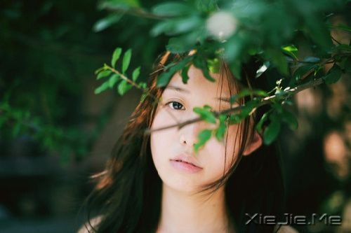 �Ҿ����ң���ɫ��һ�����̻� (2)