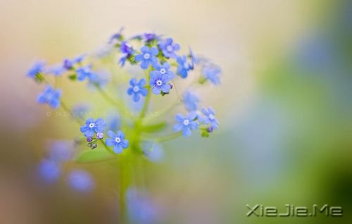 生命中那些简单的小幸福 (3)