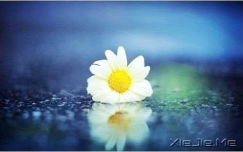 安静,一种淡淡的祥和 (2)